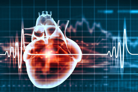 Годжи совершенствуют сердечнососудистую систему Годжи совершенствуют сердечнососудистую систему