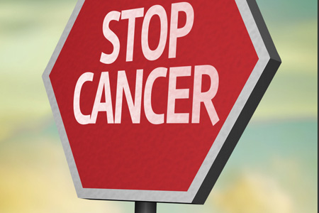 Годжи обладают противоопухолевой активностью Годжи обладают противоопухолевой активностью