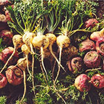 Мака перуанская