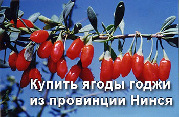 Продажа ягод годжи из Нинся