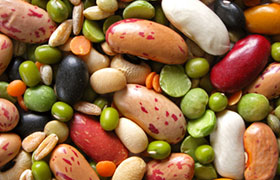 Белок растительного происхождения