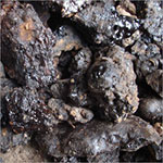 Мумие, шиладжит