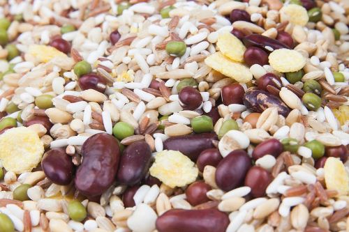 Необработанное зерно помогает похудеть