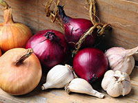 Лук и&nbsp;чеснок очищают печень