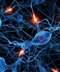 Кокосовое масло полезно повышет работоспособность мозга