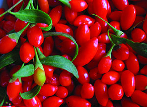 Ягоды годжи купить