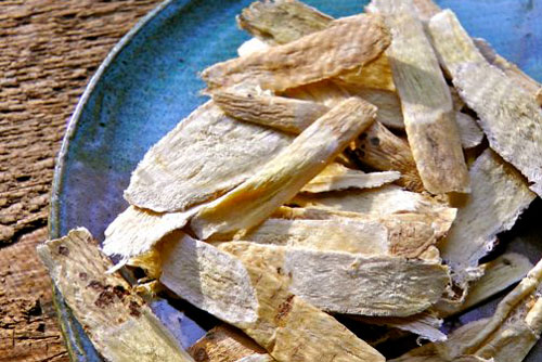 Астрагал адаптоген