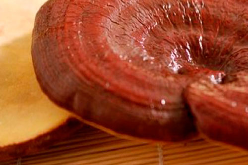 Гриб рейши адаптоген