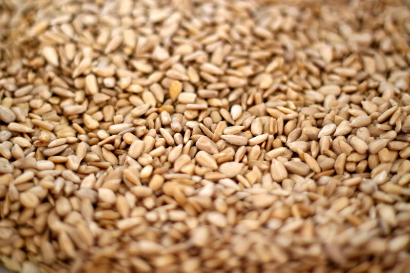 Семечки подсолнечника 